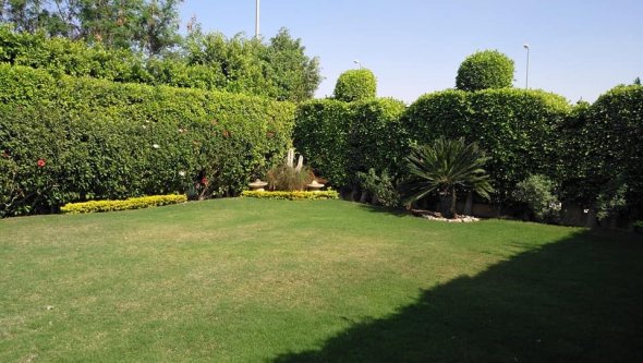 villa twin house for rent in Sheikh Zayed City